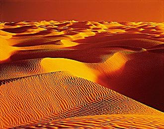 《JOJO群星之战R》公开第5部女主特里休乌纳预告