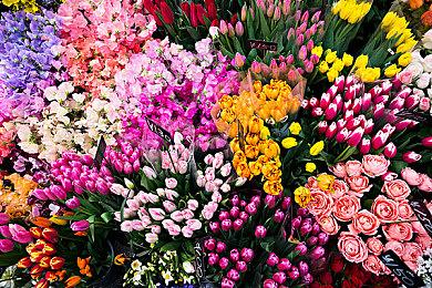 城市建造塔防轻肉鸽游戏《诺德要塞》现已正式推出 获特别好评